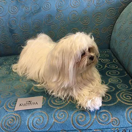 酒店 Kleopatra Design 那不勒斯