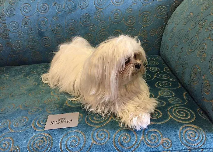 Hotel Kleopatra Design Naples